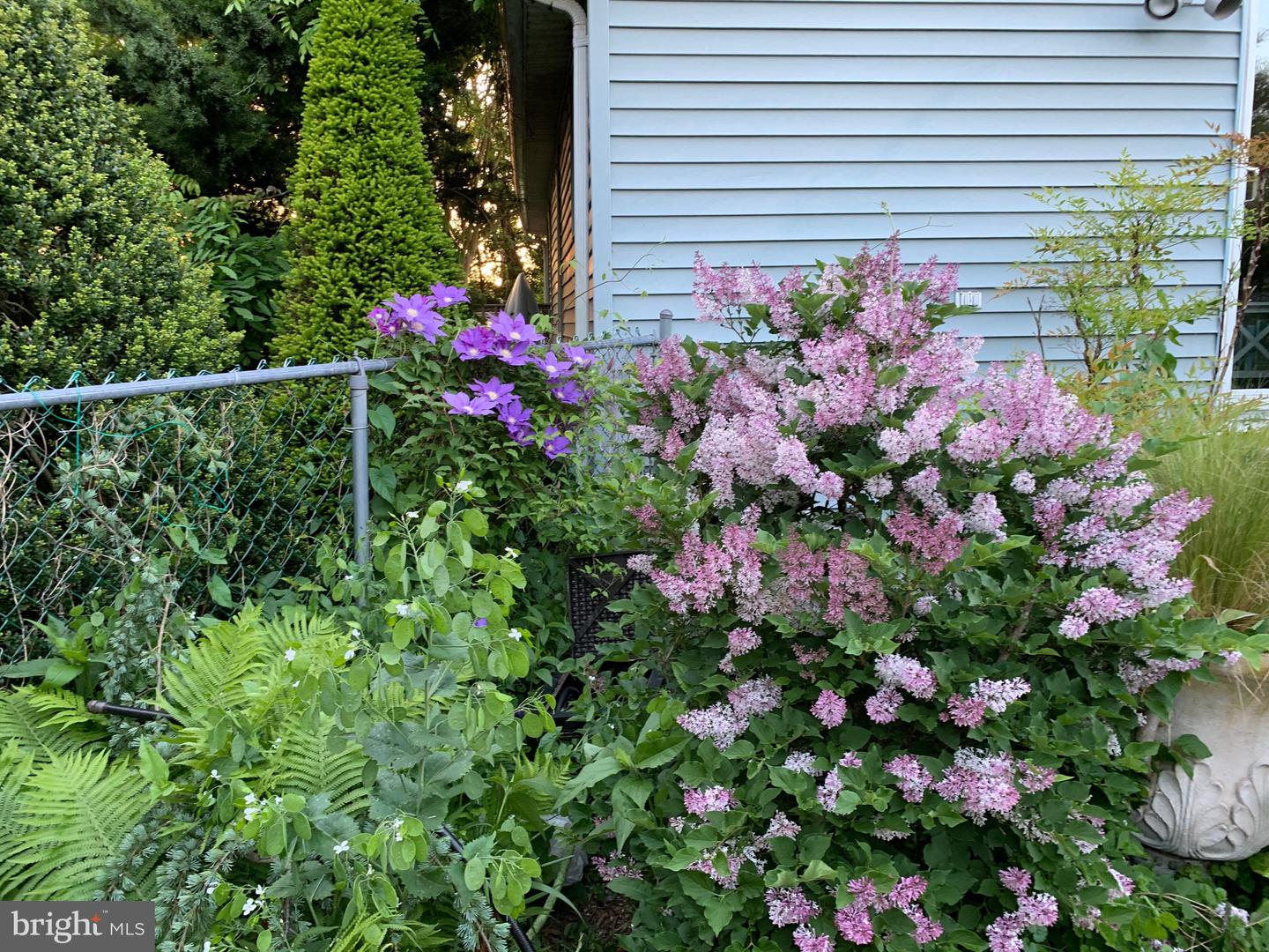 DESU2077340-803585655886-2025-07-18-16-02-34 113 New Rd | Lewes, DE Real Estate For Sale | MLS# Desu2077340  - Jack Lingo REALTOR
