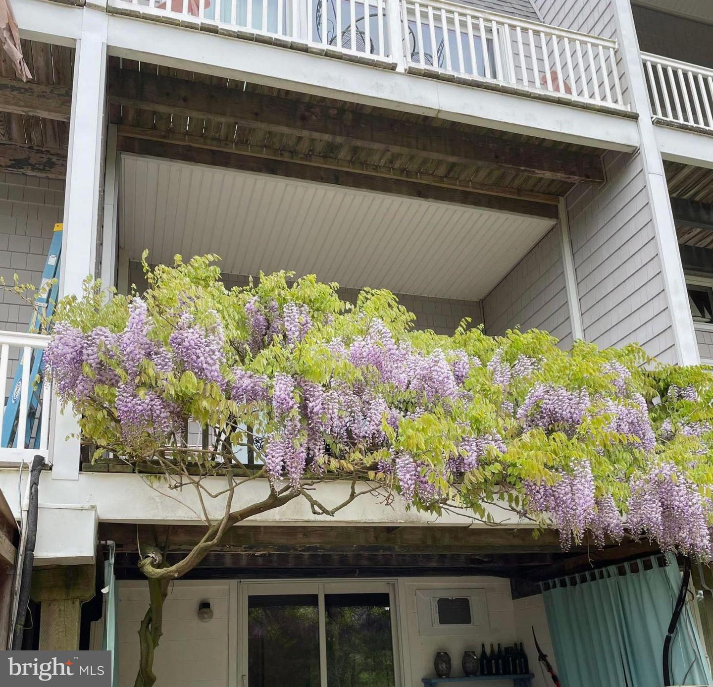 DESU2077360-803594474812-2025-02-07-11-35-09 39549 Dune Rd #40 | Bethany Beach, DE Real Estate For Sale | MLS# Desu2077360  - Jack Lingo REALTOR