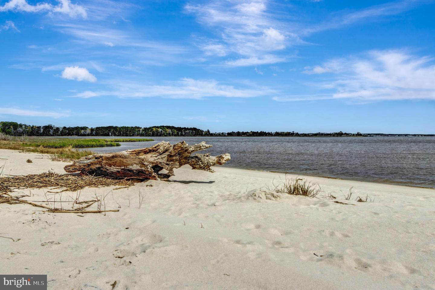 DESU2077374-803782585360-2025-06-24-14-55-27 30872 Long Leaf Rd | Dagsboro, DE Real Estate For Sale | MLS# Desu2077374  - Jack Lingo REALTOR