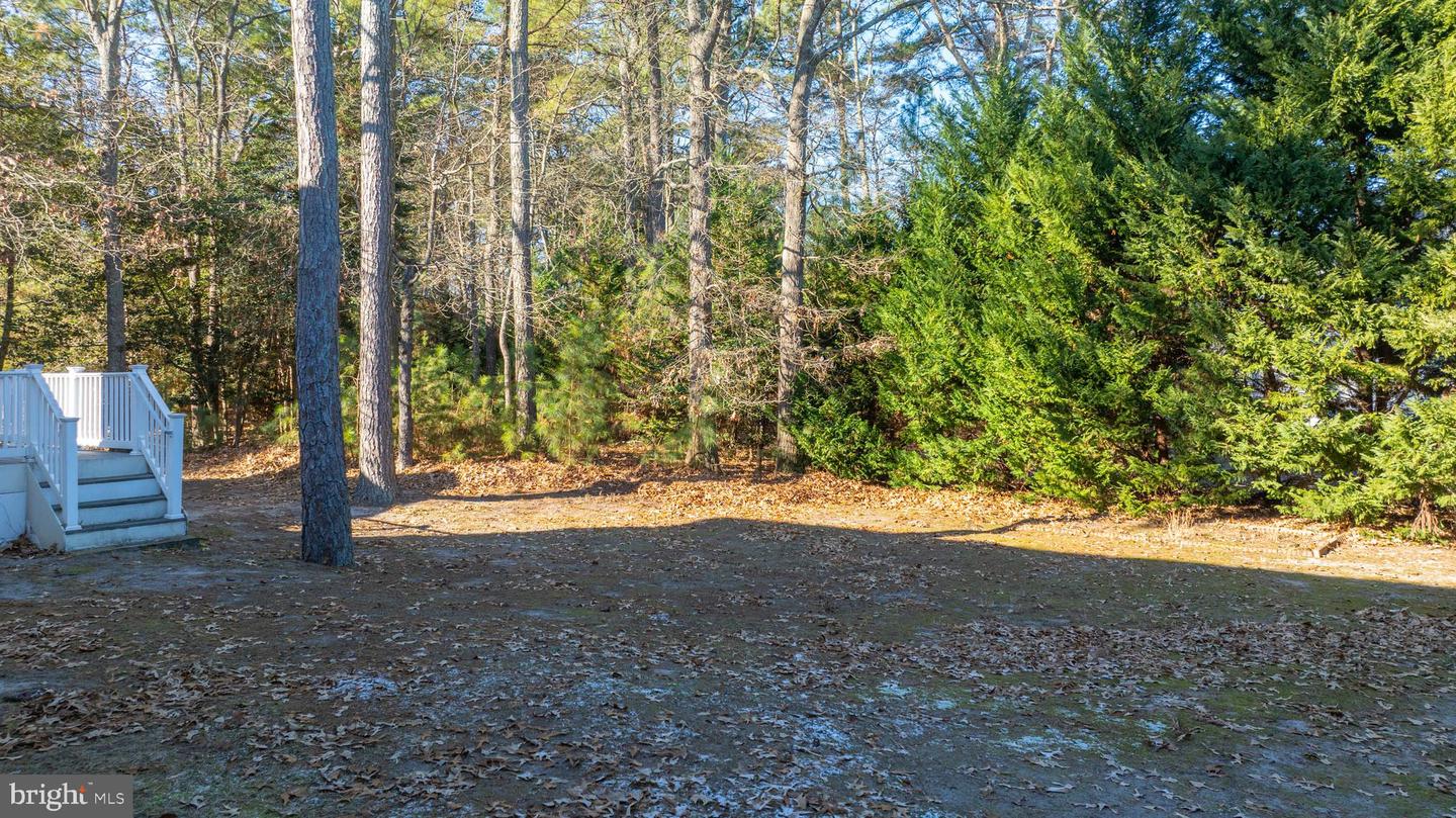 DESU2077376-803584600960-2025-04-30-07-58-57 31793 Marsh Island Ave | Lewes, DE Real Estate For Sale | MLS# Desu2077376  - Jack Lingo REALTOR