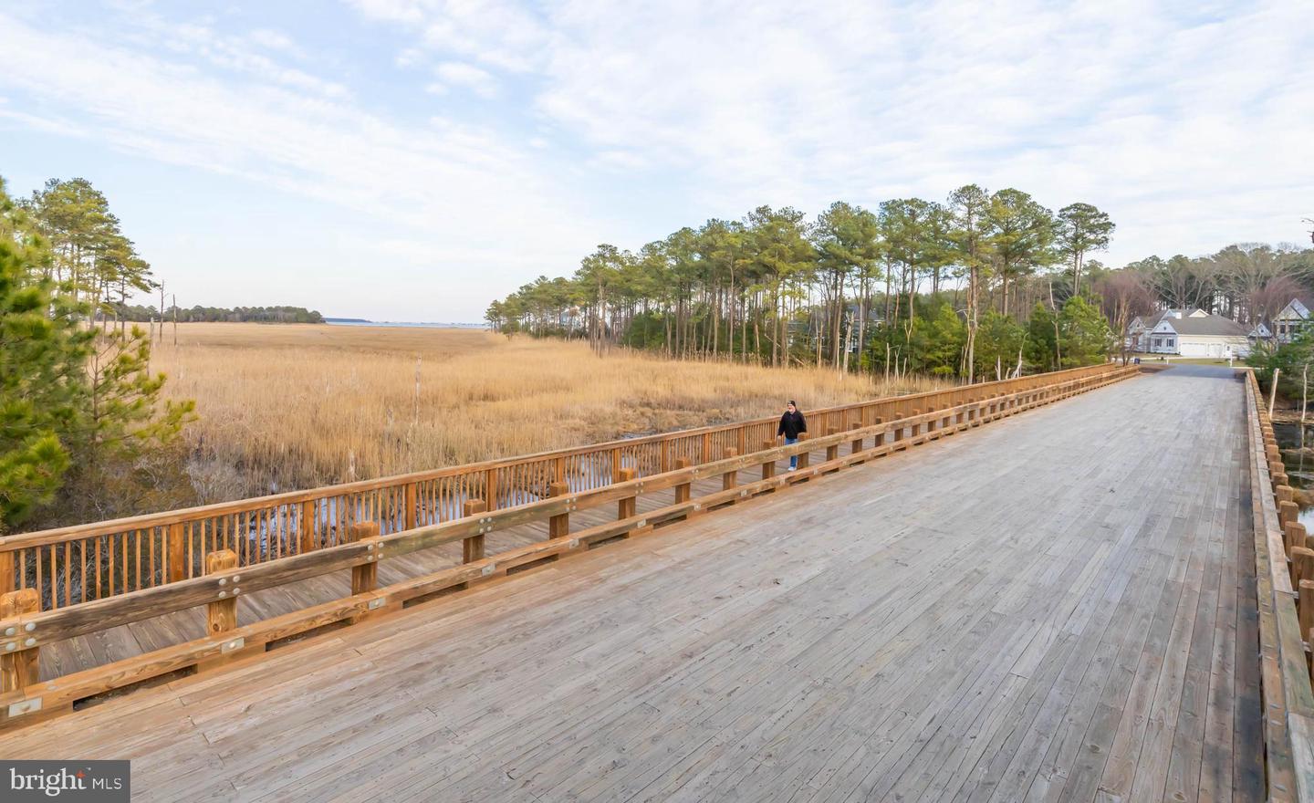 DESU2077376-803584602068-2025-04-30-07-58-55 31793 Marsh Island Ave | Lewes, DE Real Estate For Sale | MLS# Desu2077376  - Jack Lingo REALTOR