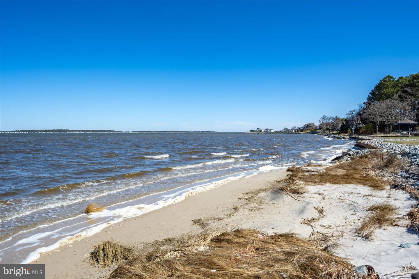 DESU2077408-803709638516-2025-04-02-11-28-52 34333 Indian River Dr | Dagsboro, DE Real Estate For Sale | MLS# Desu2077408  - Jack Lingo REALTOR