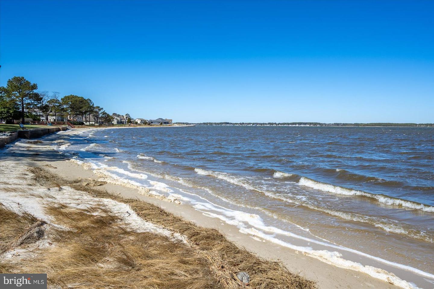 DESU2077408-803709638554-2025-04-02-11-28-58 34333 Indian River Dr | Dagsboro, DE Real Estate For Sale | MLS# Desu2077408  - Jack Lingo REALTOR