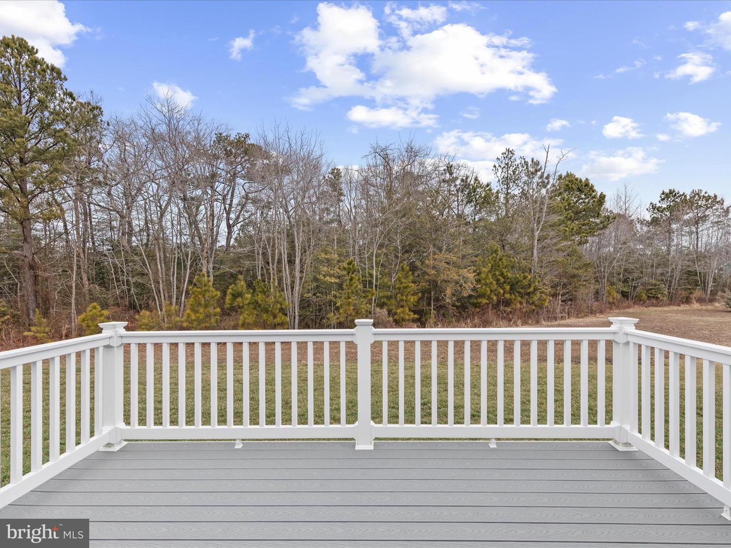DESU2077438-803630327162-2025-02-13-10-51-36 32138 Apple Ridge Run | Millsboro, DE Real Estate For Sale | MLS# Desu2077438  - Jack Lingo REALTOR