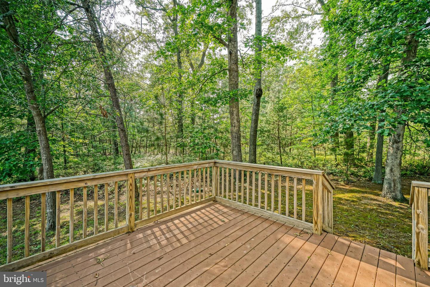 DESU2077876-803908886418-2025-07-09-16-09-40 18063 White Oak Dr | Milton, DE Real Estate For Sale | MLS# Desu2077876  - Jack Lingo REALTOR