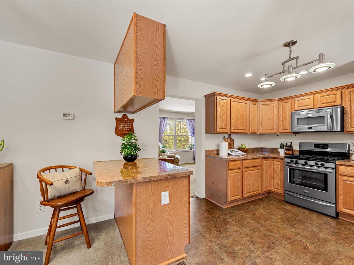 DESU2077892-803601647868-2025-04-23-18-01-19 22119 Phillips Hill Rd | Millsboro, DE Real Estate For Sale | MLS# Desu2077892  - Jack Lingo REALTOR