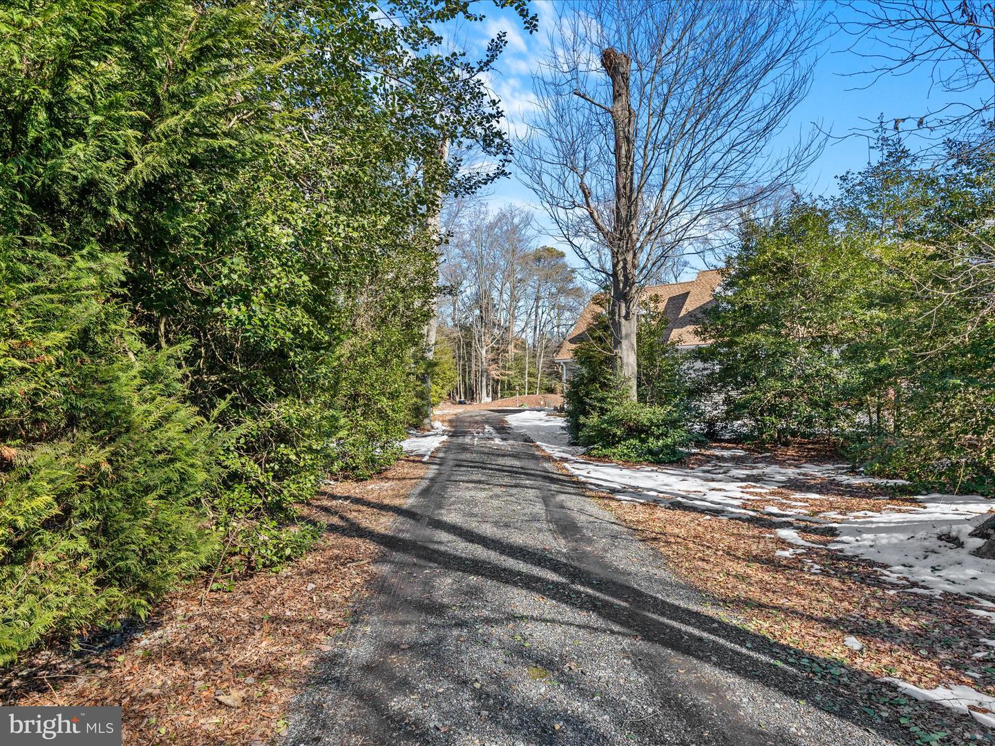 DESU2077892-803601648106-2025-04-23-18-01-19 22119 Phillips Hill Rd | Millsboro, DE Real Estate For Sale | MLS# Desu2077892  - Jack Lingo REALTOR