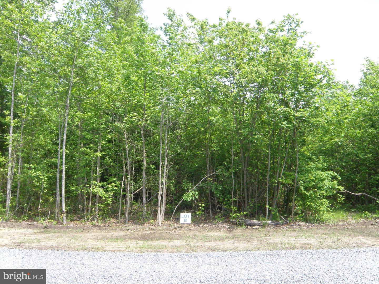 DESU2077908-803861218816-2025-06-19-14-29-13 Lot B Easement Off Of Shortly Rd | Georgetown, DE Real Estate For Sale | MLS# Desu2077908  - Jack Lingo REALTOR