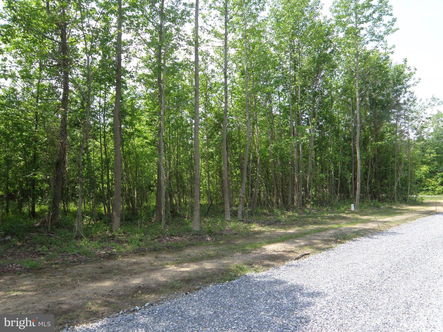 DESU2077908-803861219038-2025-06-19-14-29-13 Lot B Easement Off Of Shortly Rd | Georgetown, DE Real Estate For Sale | MLS# Desu2077908  - Jack Lingo REALTOR
