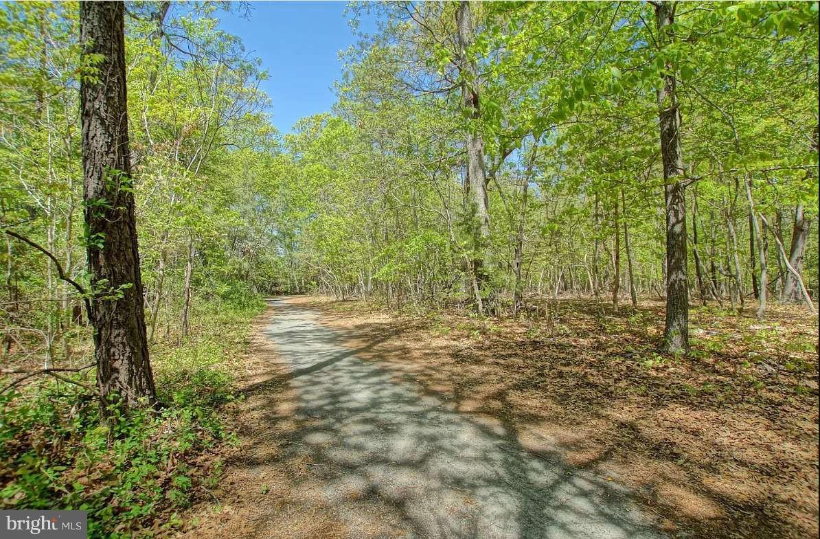 DESU2078002-803606371246-2025-02-05-00-15-05 19914 Ames Dr | Rehoboth Beach, DE Real Estate For Sale | MLS# Desu2078002  - Jack Lingo REALTOR