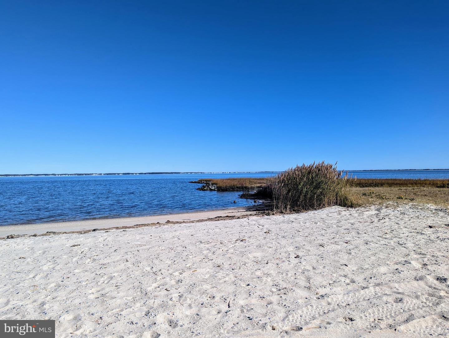 DESU2078150-803611548712-2025-02-23-15-34-39 35593 Main St #36356 | Millsboro, DE Real Estate For Sale | MLS# Desu2078150  - Jack Lingo REALTOR