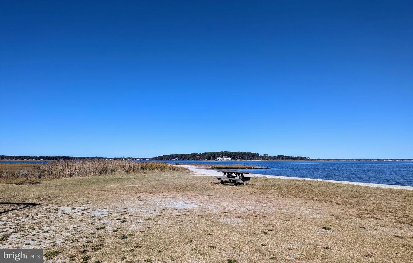 DESU2078150-803611549104-2025-02-23-15-34-39 35593 Main St #36356 | Millsboro, DE Real Estate For Sale | MLS# Desu2078150  - Jack Lingo REALTOR