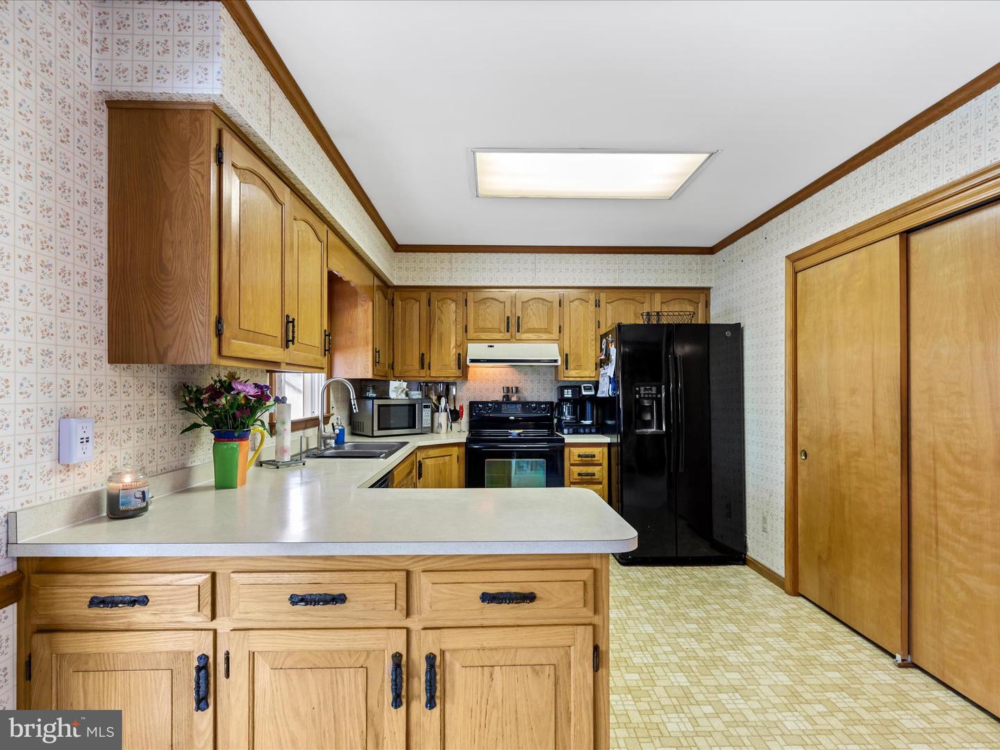 DESU2078180-803724548244-2025-03-27-13-48-40 37634 Pine Rd | Selbyville, DE Real Estate For Sale | MLS# Desu2078180  - Jack Lingo REALTOR
