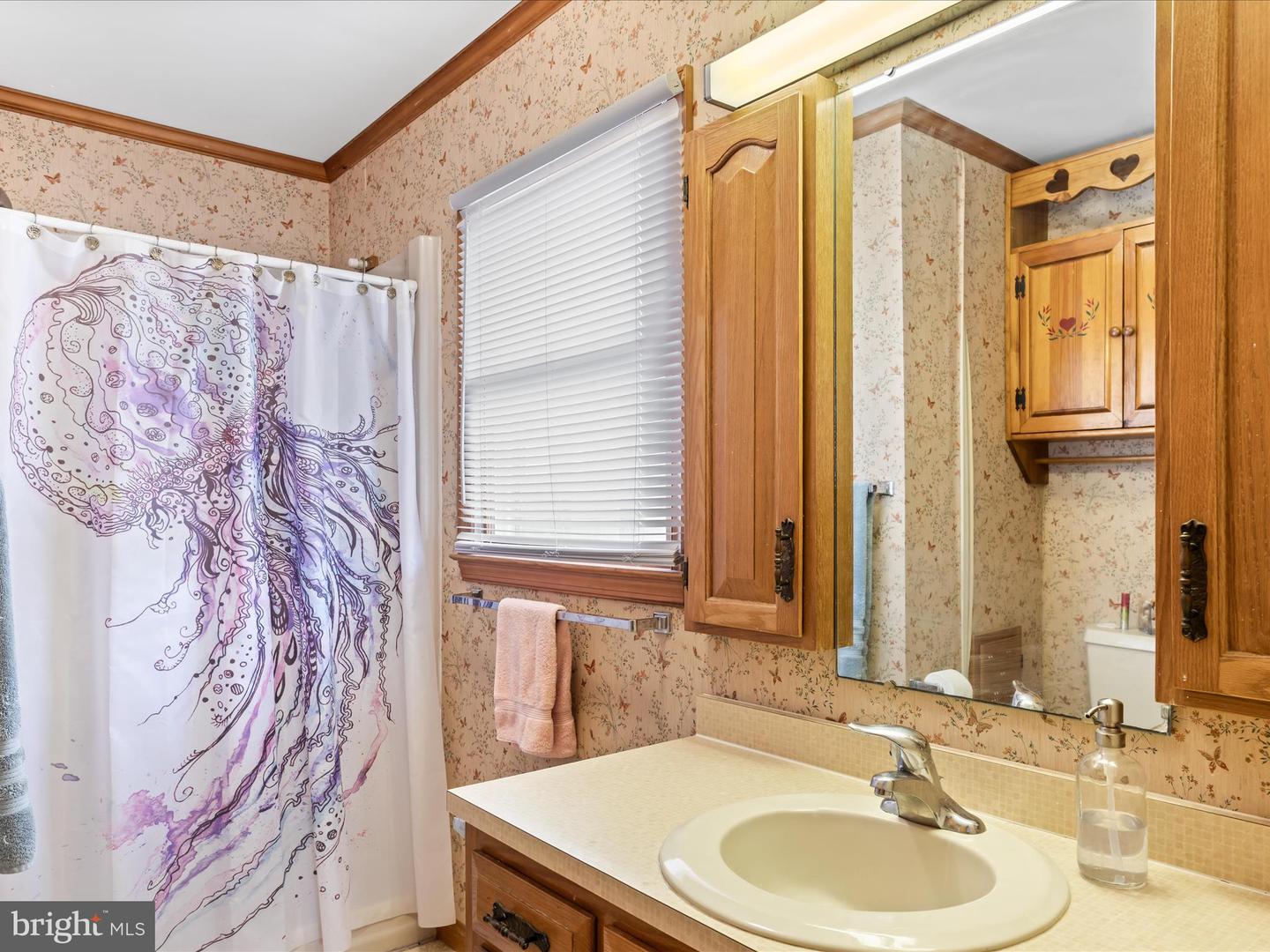 DESU2078180-803724548722-2025-03-27-13-48-43 37634 Pine Rd | Selbyville, DE Real Estate For Sale | MLS# Desu2078180  - Jack Lingo REALTOR