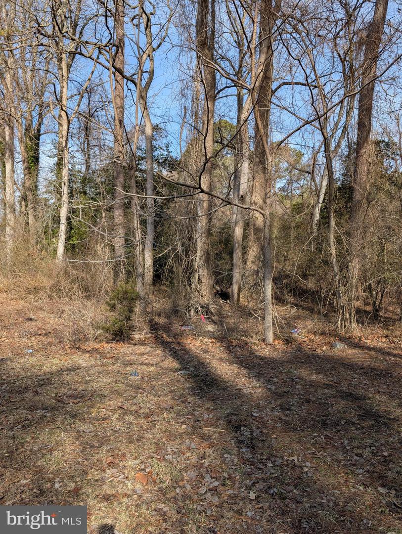 DESU2078182-803613831904-2025-02-06-13-34-41 27013 Patriots | Millsboro, DE Real Estate For Sale | MLS# Desu2078182  - Jack Lingo REALTOR