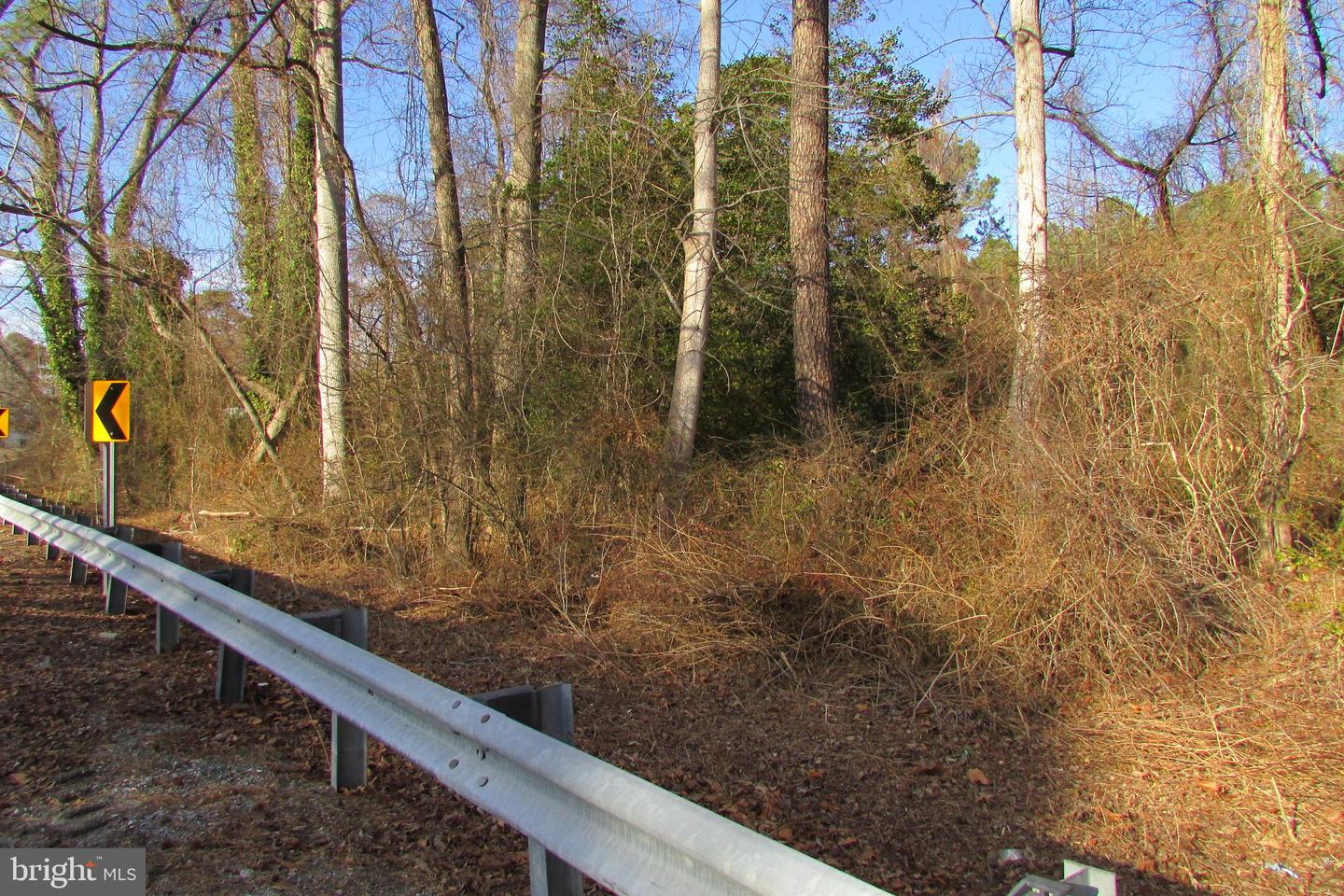DESU2078182-803620505940-2025-02-06-13-34-41 27013 Patriots | Millsboro, DE Real Estate For Sale | MLS# Desu2078182  - Jack Lingo REALTOR