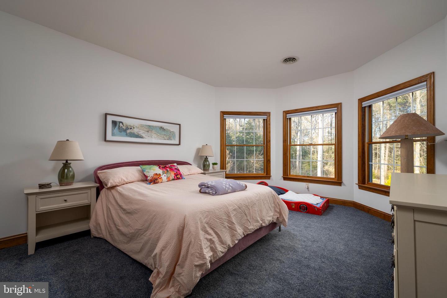DESU2078184-803632323290-2025-02-14-00-23-39 30795 Hollymount Road | Harbeson, DE Real Estate For Sale | MLS# Desu2078184  - Jack Lingo REALTOR
