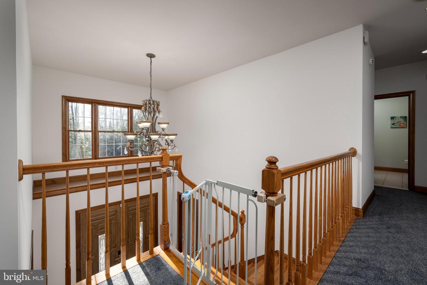 DESU2078184-803632323962-2025-02-14-00-23-38 30795 Hollymount Road | Harbeson, DE Real Estate For Sale | MLS# Desu2078184  - Jack Lingo REALTOR