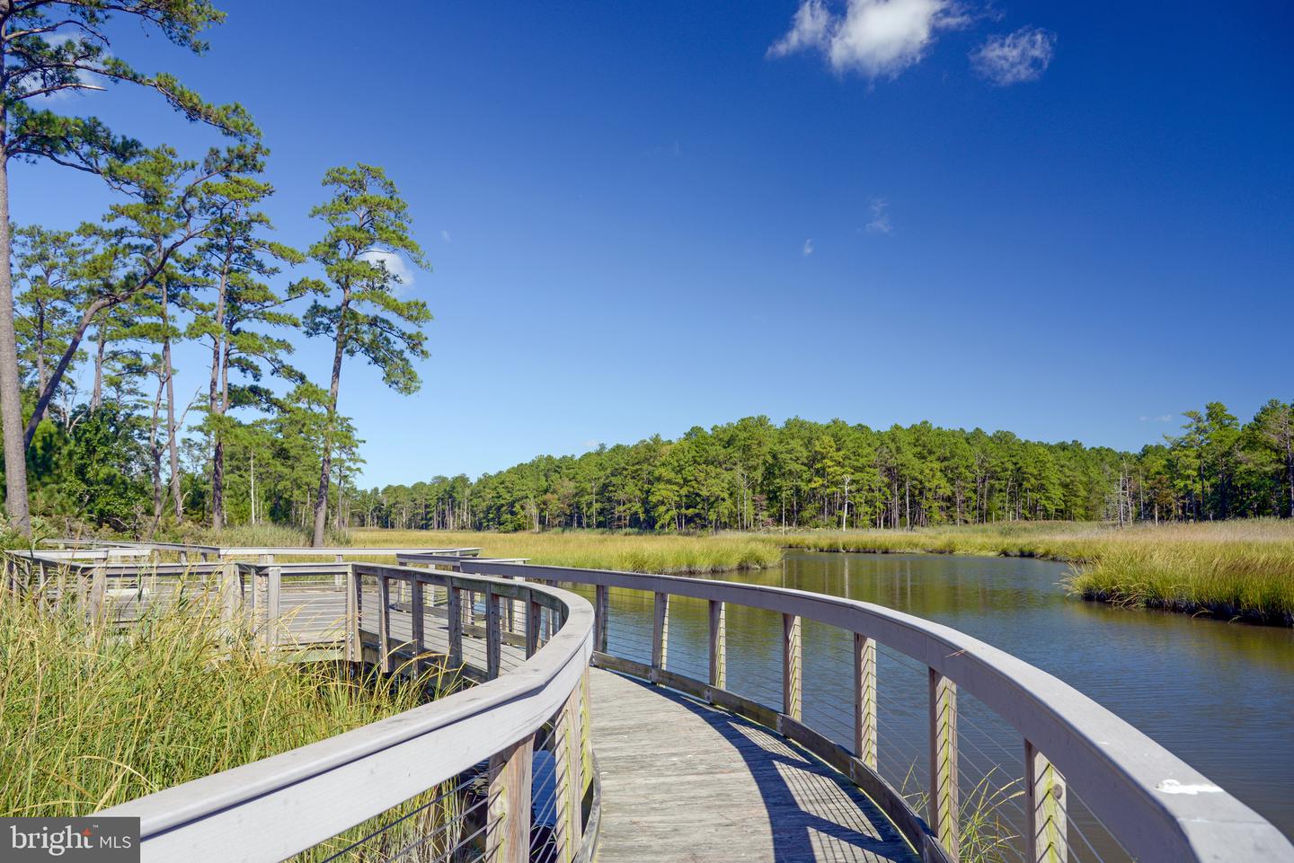 DESU2078242-803645263716-2025-06-17-16-42-35 24244 Canoe Dr #229 | Millsboro, DE Real Estate For Sale | MLS# Desu2078242  - Jack Lingo REALTOR