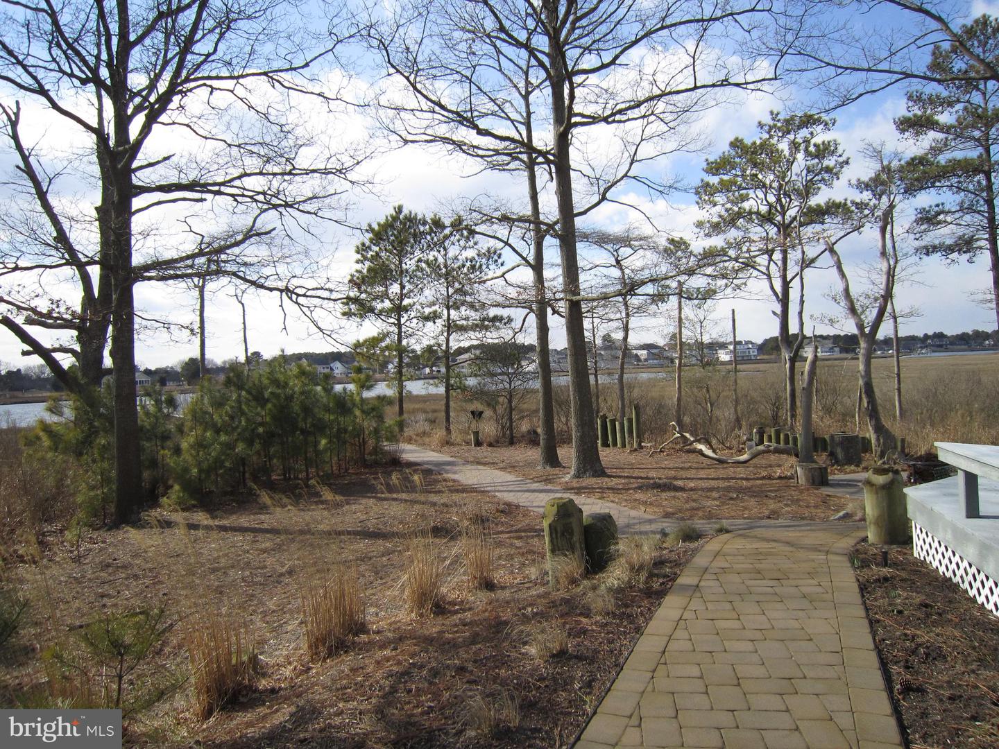 DESU2078254-803615689214-2025-02-04-09-21-10 21440 Bald Eagle | Rehoboth Beach, DE Real Estate For Sale | MLS# Desu2078254  - Jack Lingo REALTOR