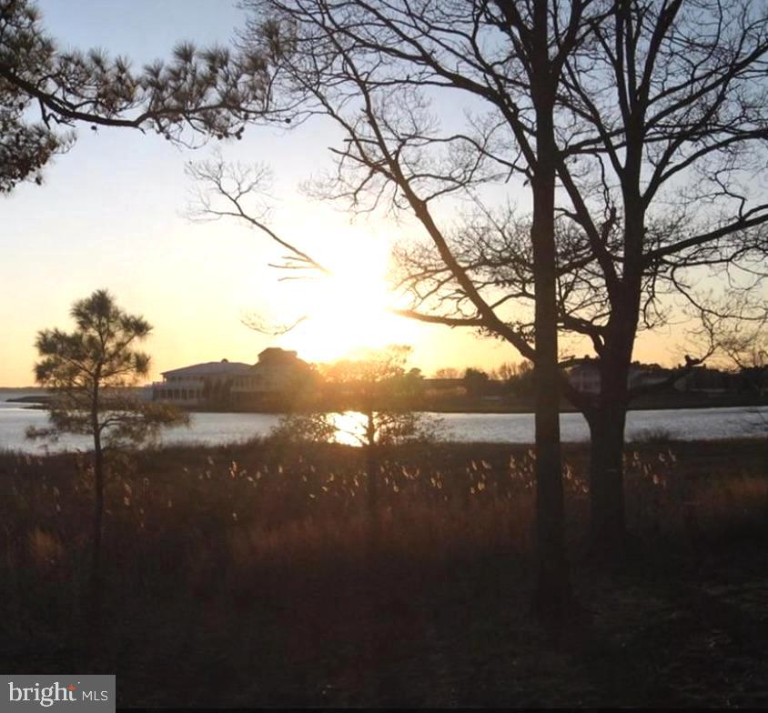 DESU2078254-803615689226-2025-02-04-09-21-08 21440 Bald Eagle | Rehoboth Beach, DE Real Estate For Sale | MLS# Desu2078254  - Jack Lingo REALTOR