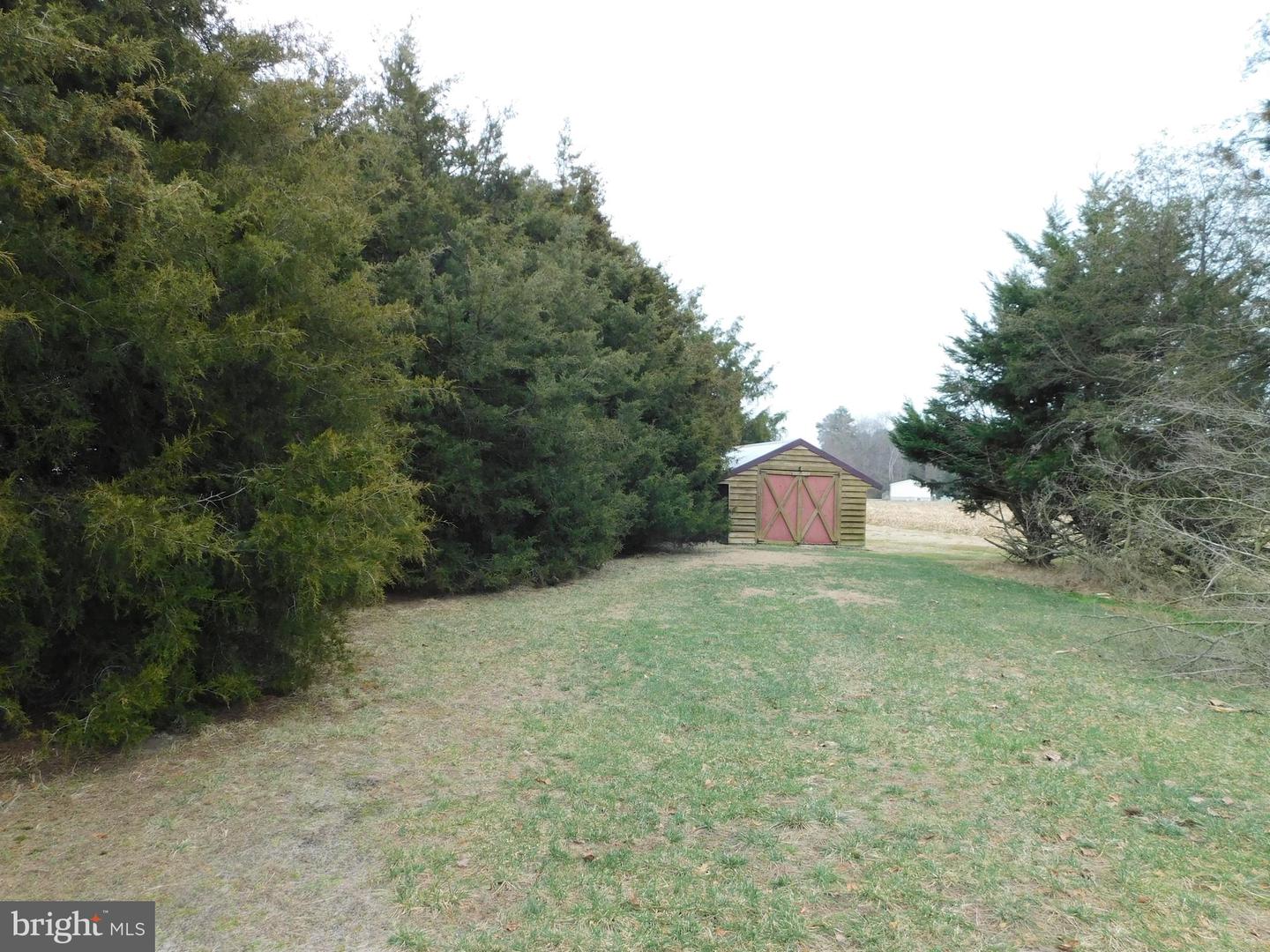 DESU2078262-803616387422-2025-04-14-11-01-02 16366 Whitesville Rd | Delmar, DE Real Estate For Sale | MLS# Desu2078262  - Jack Lingo REALTOR