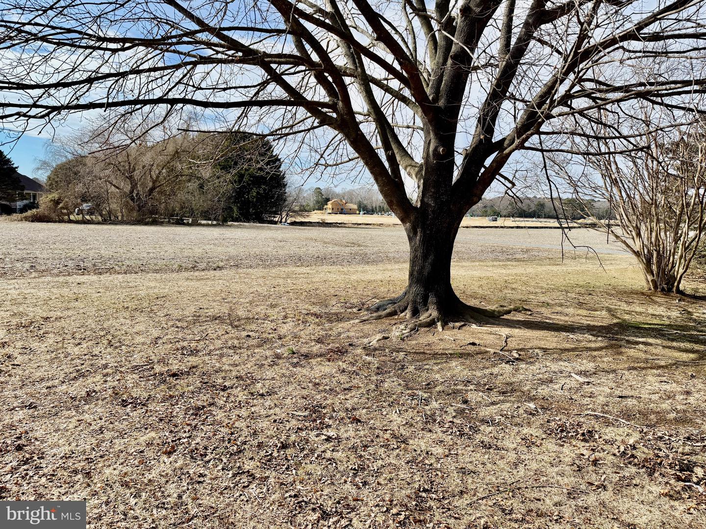 DESU2078272-803616136150-2025-03-15-10-25-25 22285 Quail Dr | Lewes, DE Real Estate For Sale | MLS# Desu2078272  - Jack Lingo REALTOR