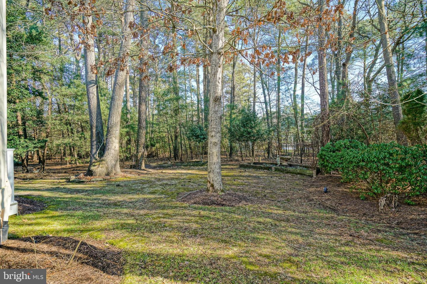 DESU2078274-803656125414-2025-04-12-15-38-39 31792 Marsh Island Ave | Lewes, DE Real Estate For Sale | MLS# Desu2078274  - Jack Lingo REALTOR