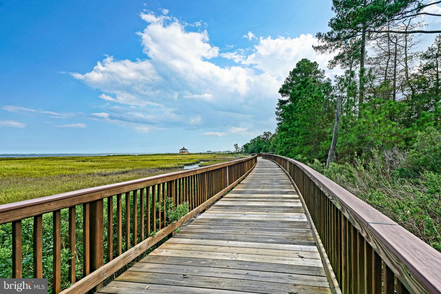 DESU2078274-803656156372-2025-05-08-11-41-21 31792 Marsh Island Ave | Lewes, DE Real Estate For Sale | MLS# Desu2078274  - Jack Lingo REALTOR