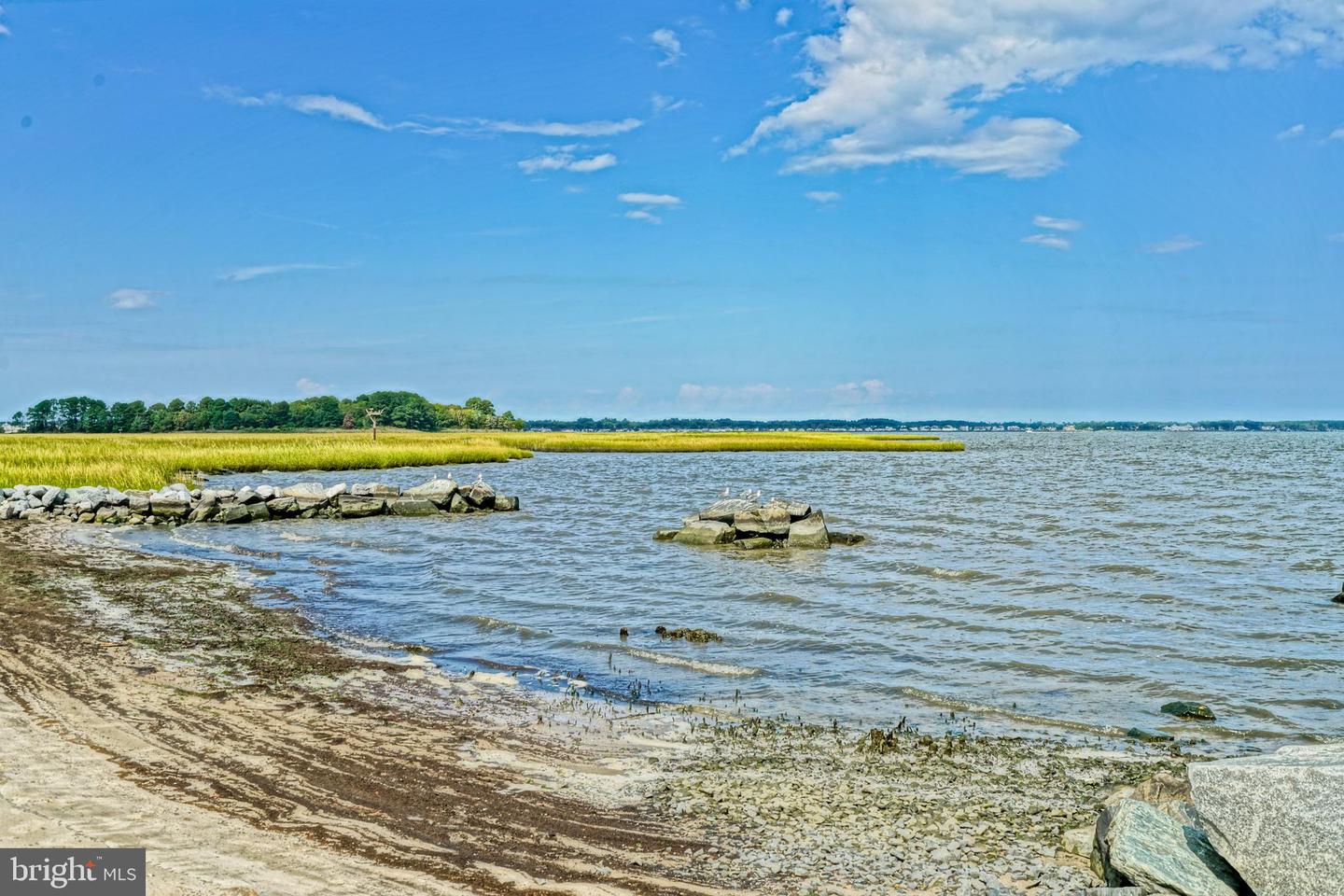 DESU2078274-803656156398-2025-05-08-11-41-23 31792 Marsh Island Ave | Lewes, DE Real Estate For Sale | MLS# Desu2078274  - Jack Lingo REALTOR