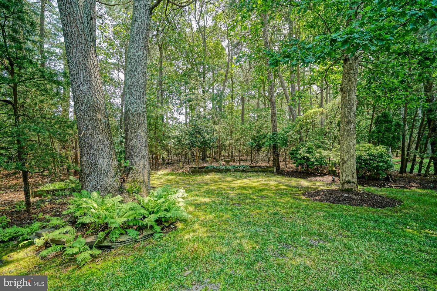 DESU2078274-803940825546-2025-06-22-10-15-25 31792 Marsh Island Ave | Lewes, DE Real Estate For Sale | MLS# Desu2078274  - Jack Lingo REALTOR