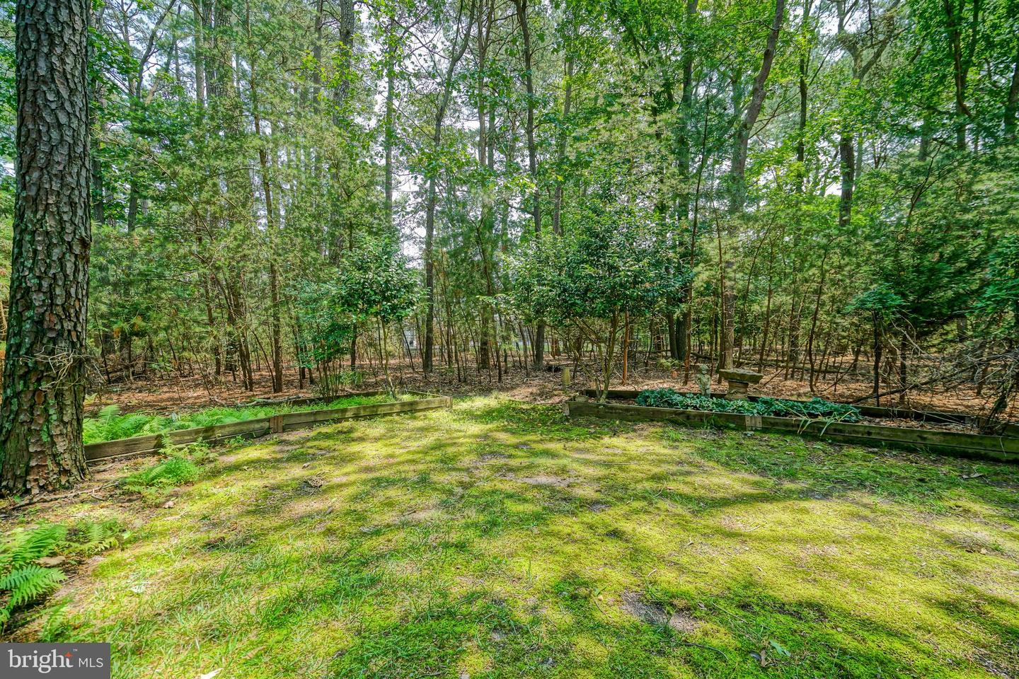 DESU2078274-803940825884-2025-06-22-10-15-23 31792 Marsh Island Ave | Lewes, DE Real Estate For Sale | MLS# Desu2078274  - Jack Lingo REALTOR