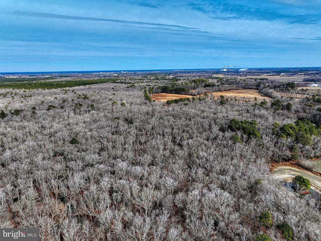 DESU2078376-803652717902-2025-03-07-09-45-10 9 Foot Road | Dagsboro, DE Real Estate For Sale | MLS# Desu2078376  - Jack Lingo REALTOR