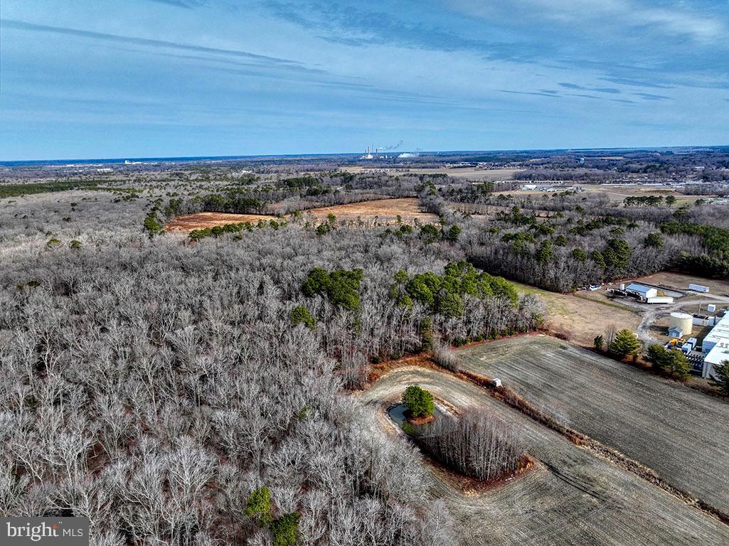 DESU2078376-803652717934-2025-03-07-09-45-10 9 Foot Road | Dagsboro, DE Real Estate For Sale | MLS# Desu2078376  - Jack Lingo REALTOR
