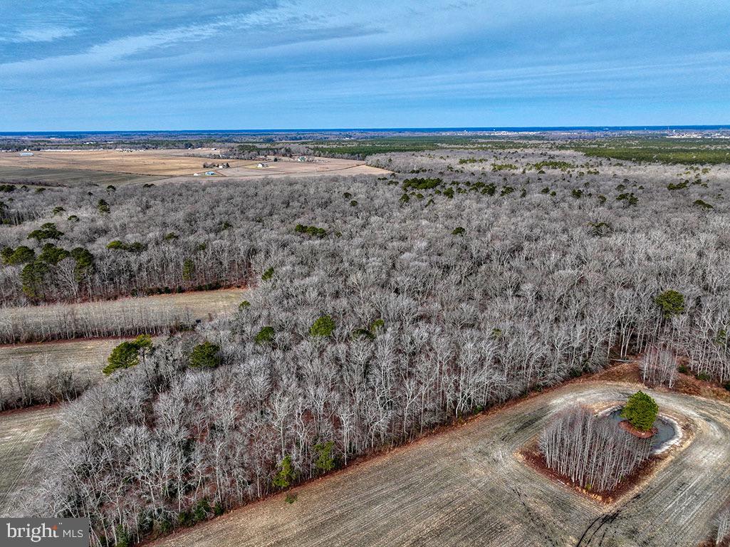 DESU2078376-803652717956-2025-03-07-09-45-09 9 Foot Road | Dagsboro, DE Real Estate For Sale | MLS# Desu2078376  - Jack Lingo REALTOR