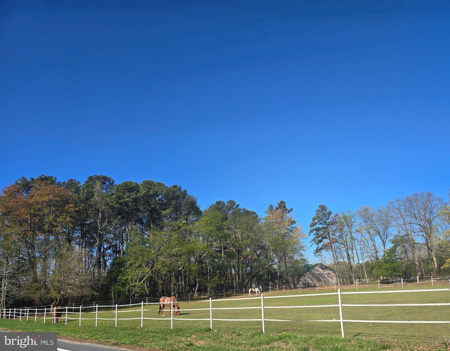 DESU2078468-803766793670-2025-04-12-20-31-56 16626 John Rowland Trl #606 | Milton, DE Real Estate For Sale | MLS# Desu2078468  - Jack Lingo REALTOR