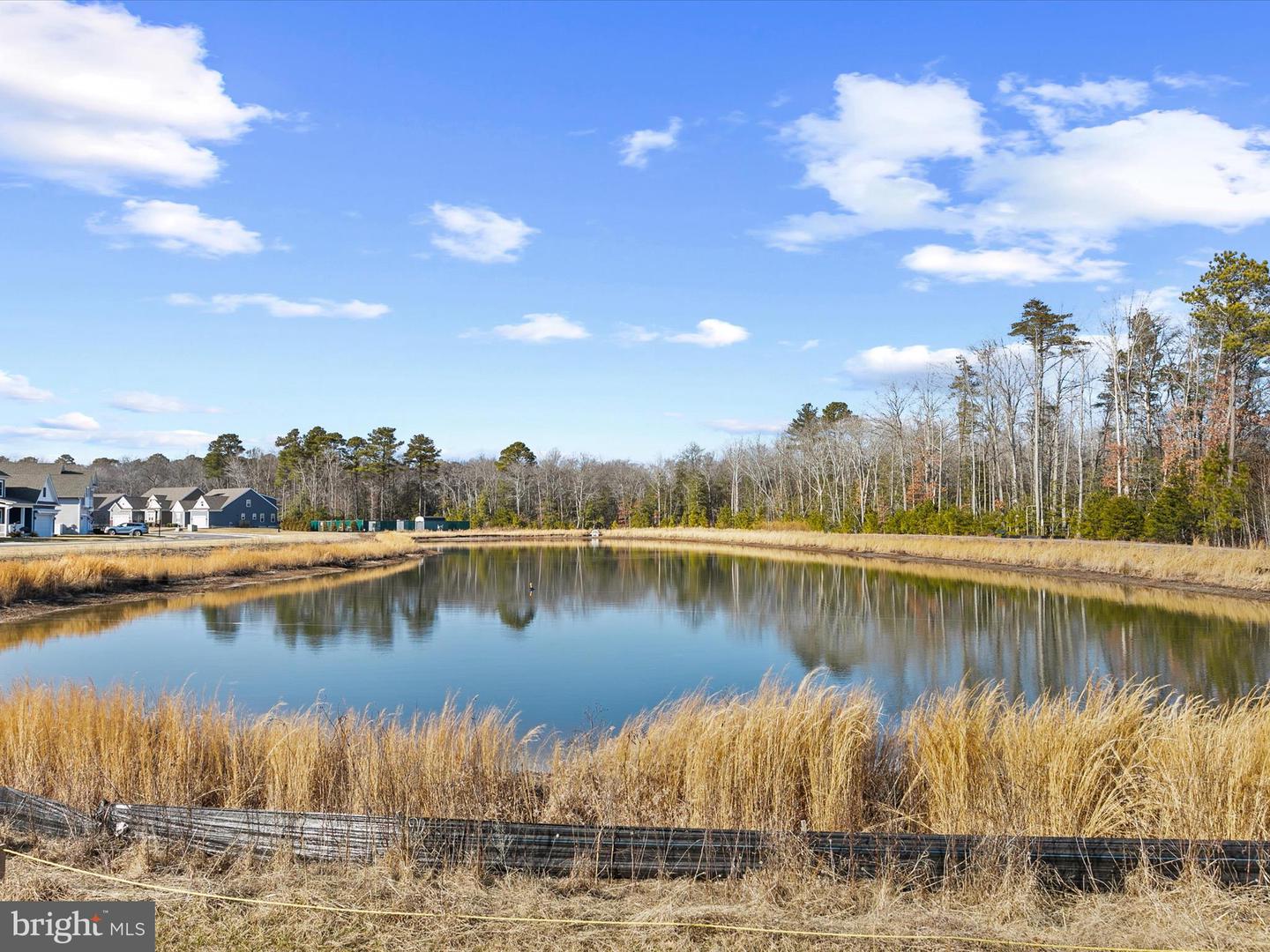 DESU2078670-803632710036-2025-02-13-14-56-47 22657 Deep Woods Rd | Milton, DE Real Estate For Sale | MLS# Desu2078670  - Jack Lingo REALTOR