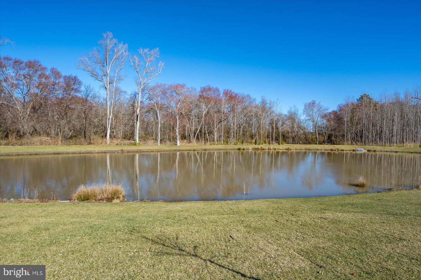 DESU2078782-803718473690-2025-03-25-14-29-02 32442 Norman Ln | Frankford, DE Real Estate For Sale | MLS# Desu2078782  - Jack Lingo REALTOR