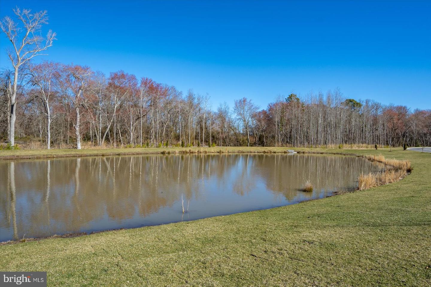 DESU2078782-803718473782-2025-03-25-14-29-02 32442 Norman Ln | Frankford, DE Real Estate For Sale | MLS# Desu2078782  - Jack Lingo REALTOR