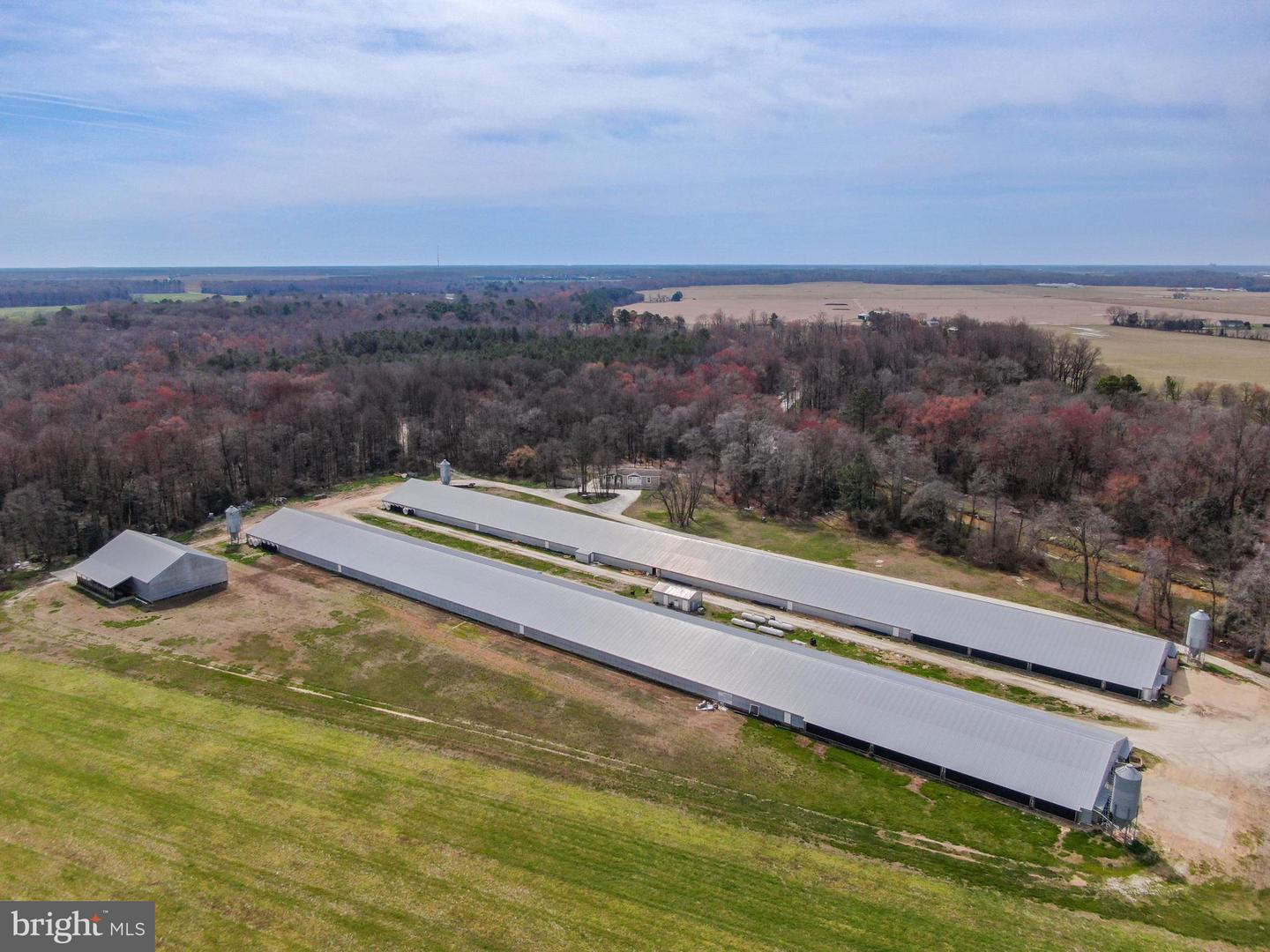 DESU2079022-803674273628-2025-03-10-15-06-30 11623 Arics Ally Way | Greenwood, DE Real Estate For Sale | MLS# Desu2079022  - Jack Lingo REALTOR