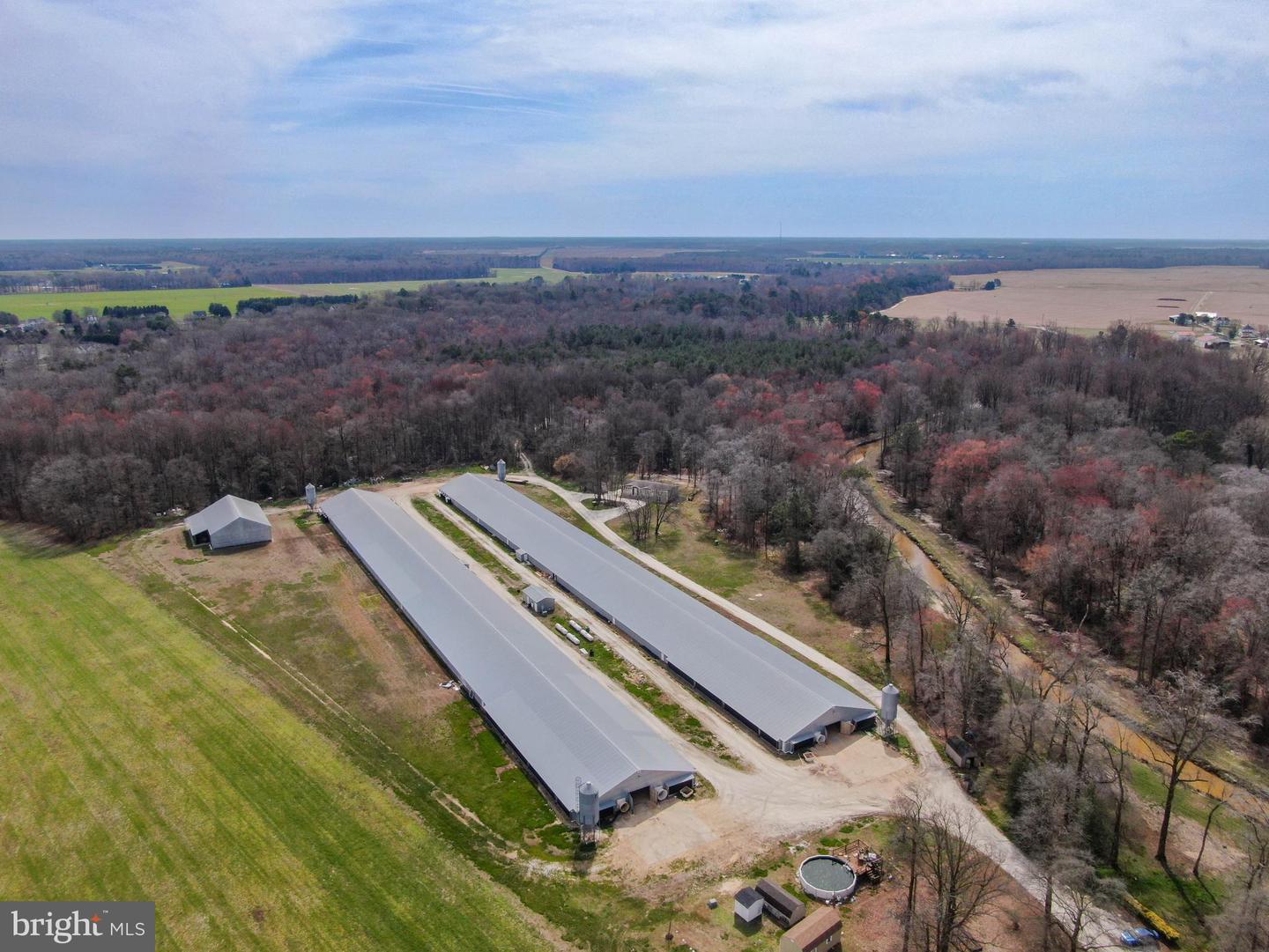 DESU2079022-803674273726-2025-03-10-15-06-30 11623 Arics Ally Way | Greenwood, DE Real Estate For Sale | MLS# Desu2079022  - Jack Lingo REALTOR