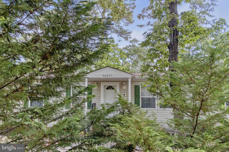 DESU2079210-803639392800-2025-02-18-11-16-37 36417 Fir Dr | Rehoboth Beach, DE Real Estate For Sale | MLS# Desu2079210  - Jack Lingo REALTOR