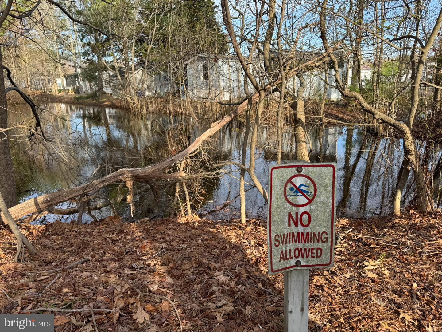 DESU2079230-803743738708-2025-04-03-18-17-41 22907 Dogwood Dr | Lewes, DE Real Estate For Sale | MLS# Desu2079230  - Jack Lingo REALTOR