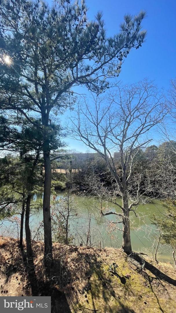 DESU2079290-803665711426-2025-05-09-12-52-30 113 Canal Street | Rehoboth Beach, DE Real Estate For Sale | MLS# Desu2079290  - Jack Lingo REALTOR