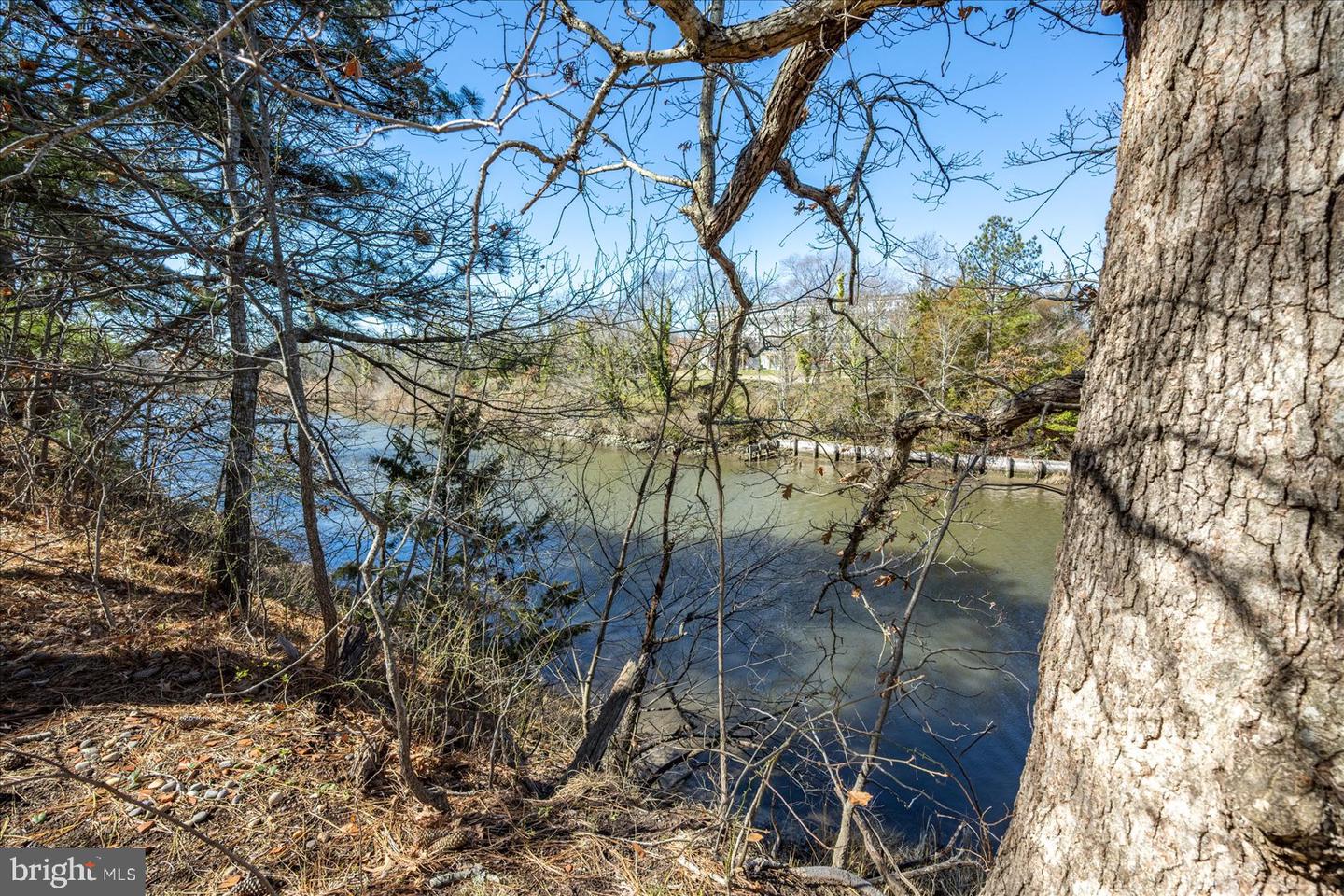 DESU2079290-803712519878-2025-05-09-12-52-28 113 Canal Street | Rehoboth Beach, DE Real Estate For Sale | MLS# Desu2079290  - Jack Lingo REALTOR