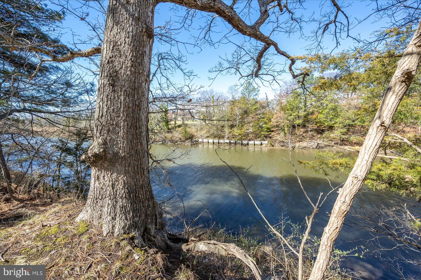DESU2079290-803712519894-2025-05-09-12-52-29 113 Canal Street | Rehoboth Beach, DE Real Estate For Sale | MLS# Desu2079290  - Jack Lingo REALTOR