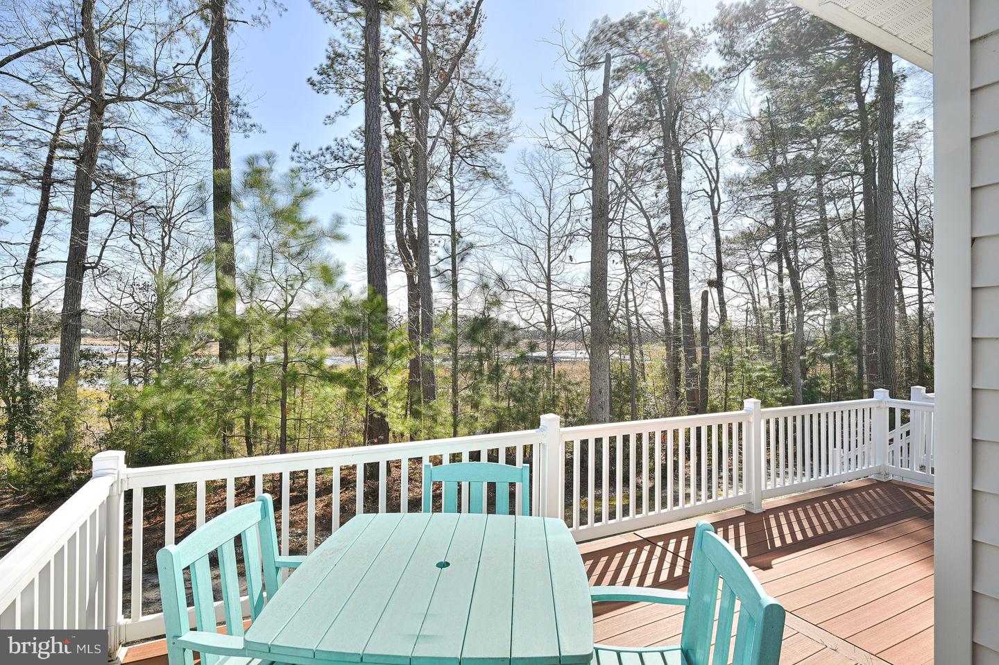 DESU2079416-803644999596-2025-04-15-08-40-39 20022 Bluff Point Dr | Millsboro, DE Real Estate For Sale | MLS# Desu2079416  - Jack Lingo REALTOR
