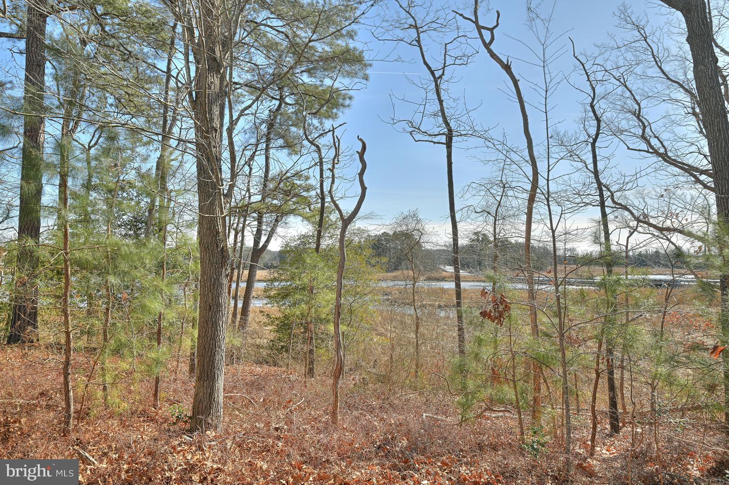 DESU2079416-803645001606-2025-04-15-08-41-17 20022 Bluff Point Dr | Millsboro, DE Real Estate For Sale | MLS# Desu2079416  - Jack Lingo REALTOR