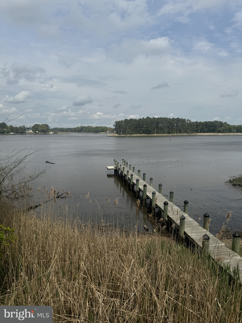 DESU2079416-803802803116-2025-04-27-08-47-23 20022 Bluff Point Dr | Millsboro, DE Real Estate For Sale | MLS# Desu2079416  - Jack Lingo REALTOR