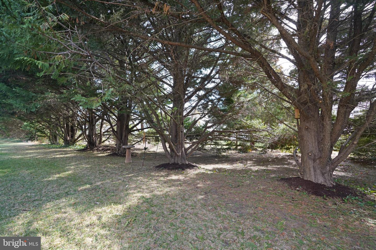 DESU2079430-803654808890-2025-04-18-11-53-16 18245 Shockley Dr #10 | Rehoboth Beach, DE Real Estate For Sale | MLS# Desu2079430  - Jack Lingo REALTOR